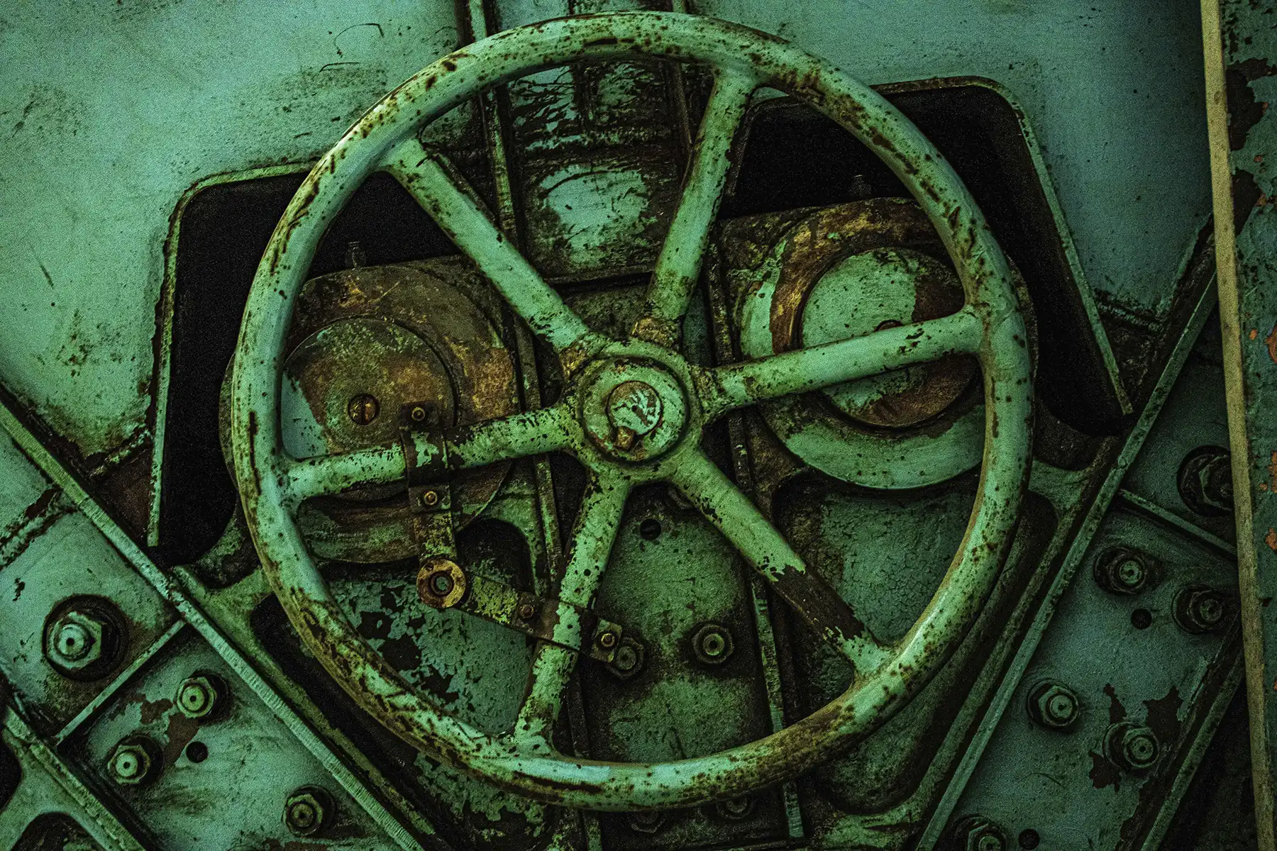 Adéla Polláková - DOV